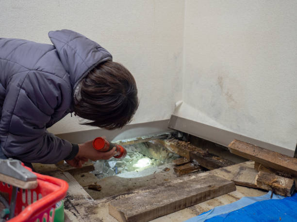 Best Mold Removal for HVAC Installations  in East Moriches, NY