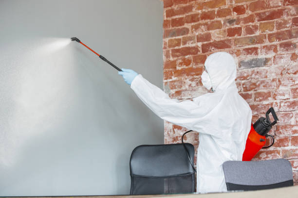 Best Biohazard Mold Removal  in East Moriches, NY