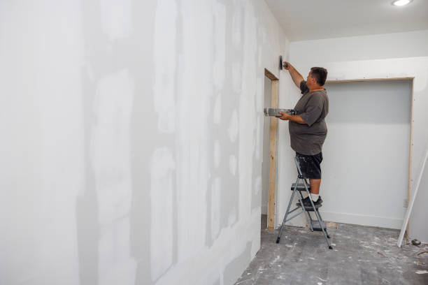 Best Mold-Related Health Consultation  in East Moriches, NY