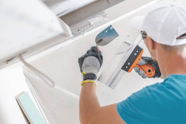Best Industrial Mold Remediation  in East Moriches, NY